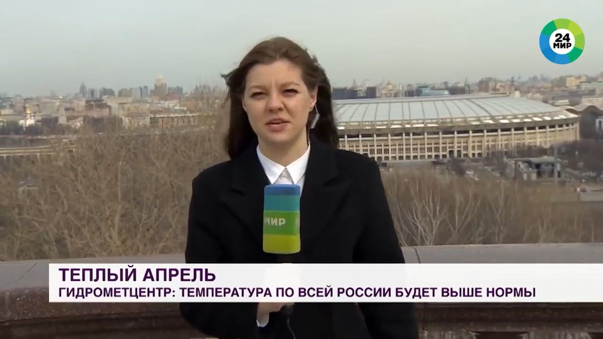 In Russia, the dog stole the reporter's micron on live broadcast #2