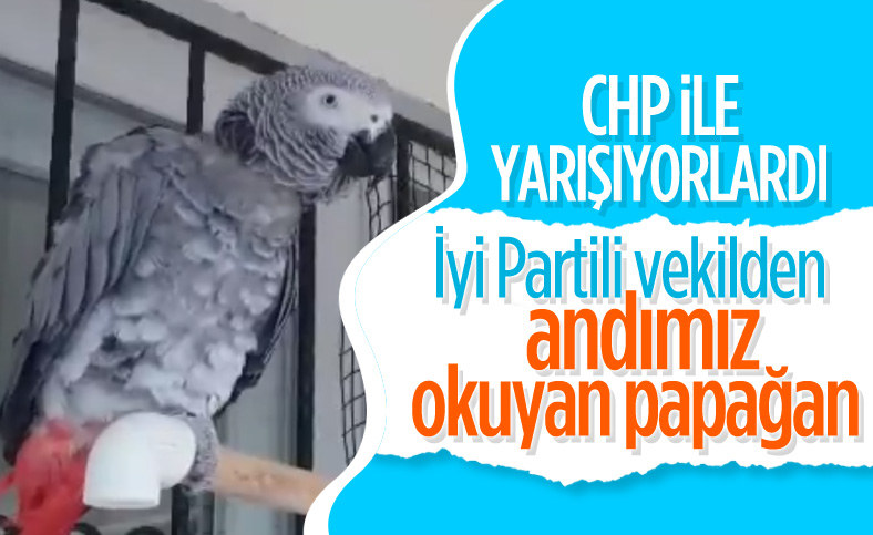 İyi Partili Ahmet Erozan'dan 'Andımız'ı okuyan papağan' paylaşımı