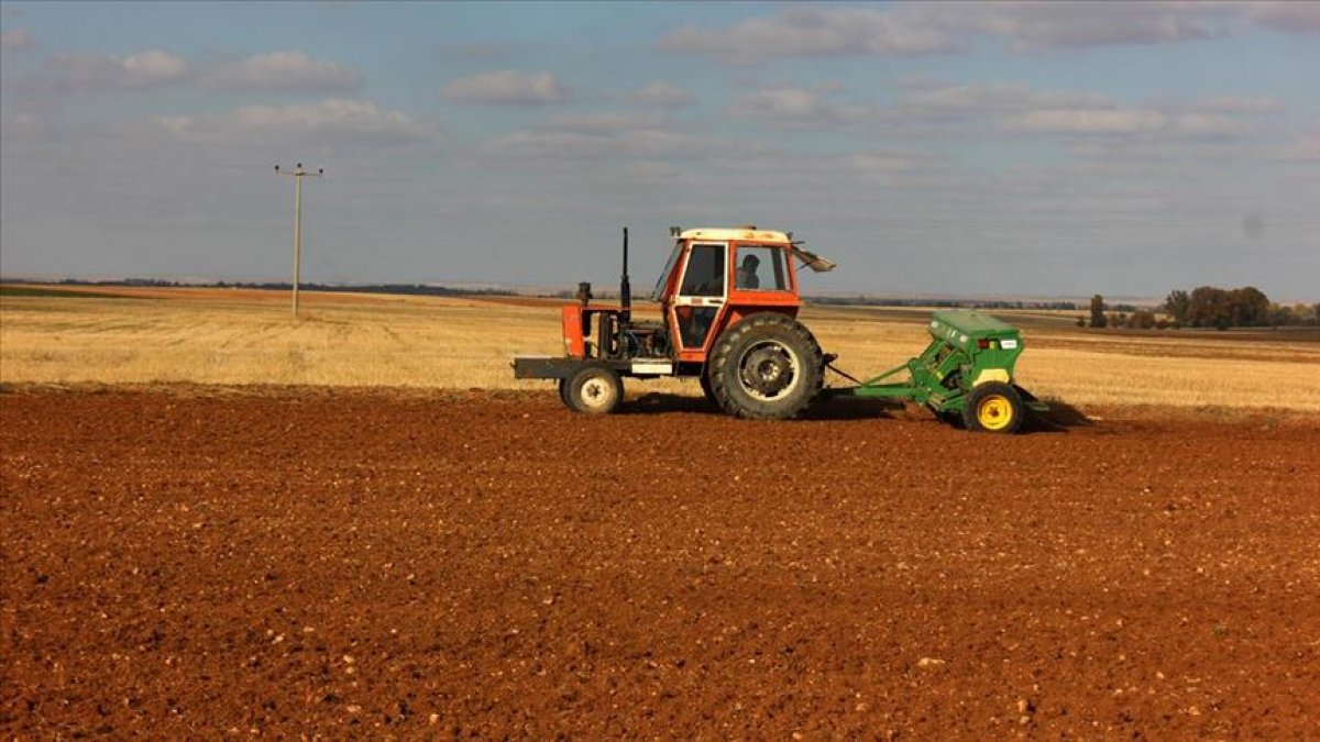 Tarım sektöründen tarihin en yüksek ilk çeyrek ihracatı gerçekleşti