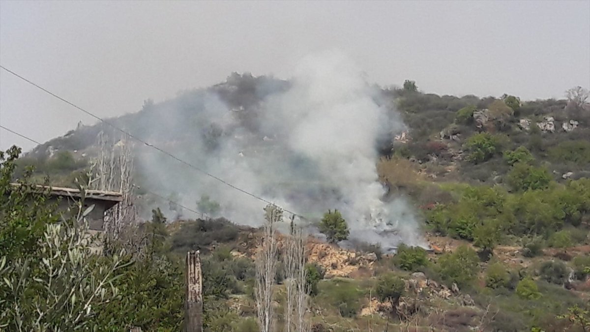 Mersin'de yaktığı çalılar canından etti