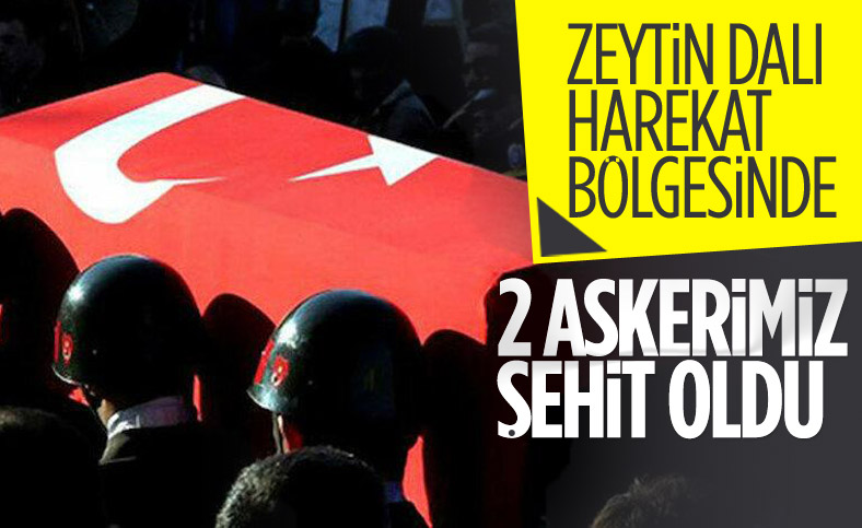 Zeytin Dalı Harekat bölgesinde 2 şehit