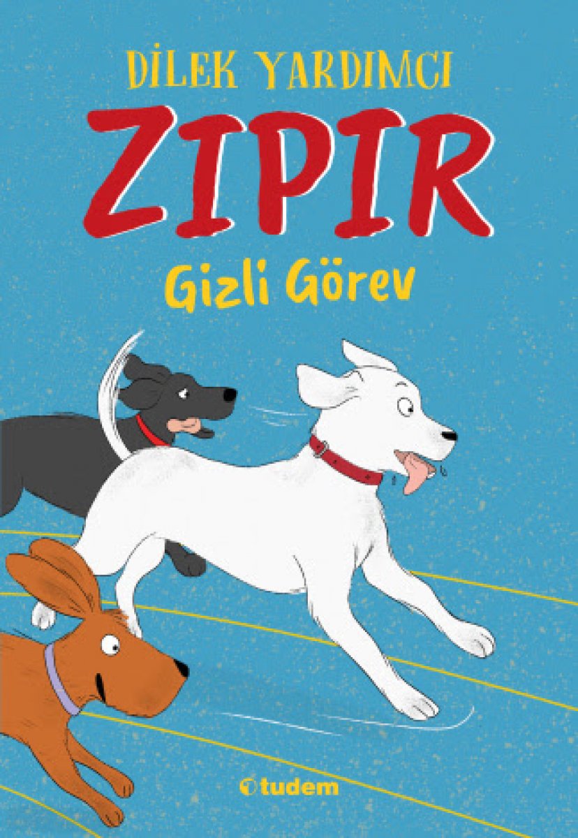 Yönünü sevgiyle bulan bir köpeğin şampiyonluğa koşuşu