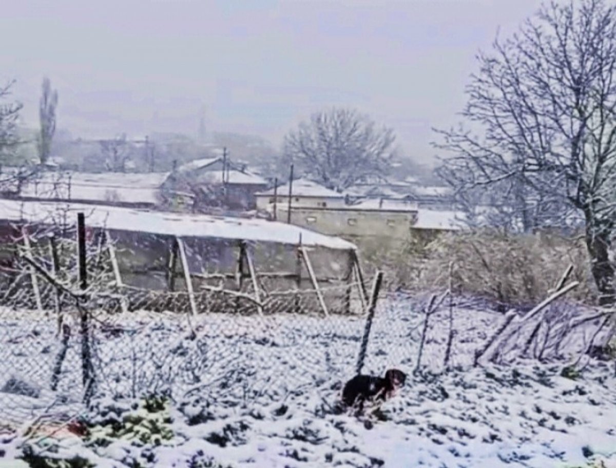 Edirne'de kar yağışı başladı