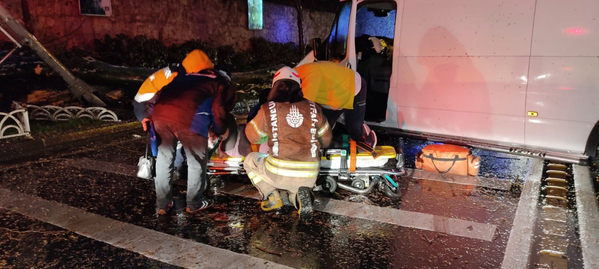 Beşiktaş'ta panelvan minibüsün çarptığı ağaç devrildi: 1 yaralı