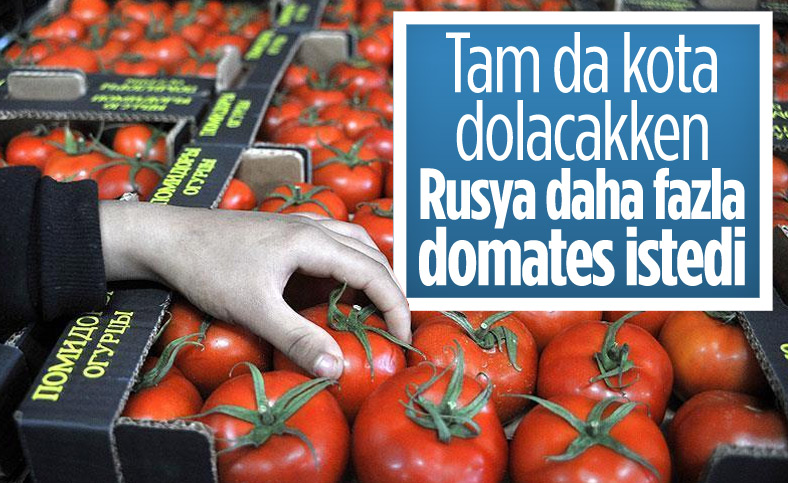Rusya, Türkiye'den aldığı domatesin kotasını artırdı