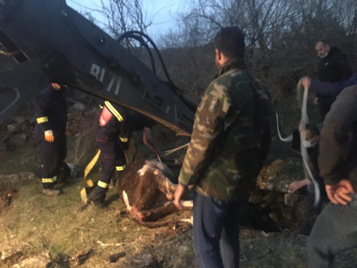 Burdur'da kuyuya düşen ineğin yardımına itfaiye koştu