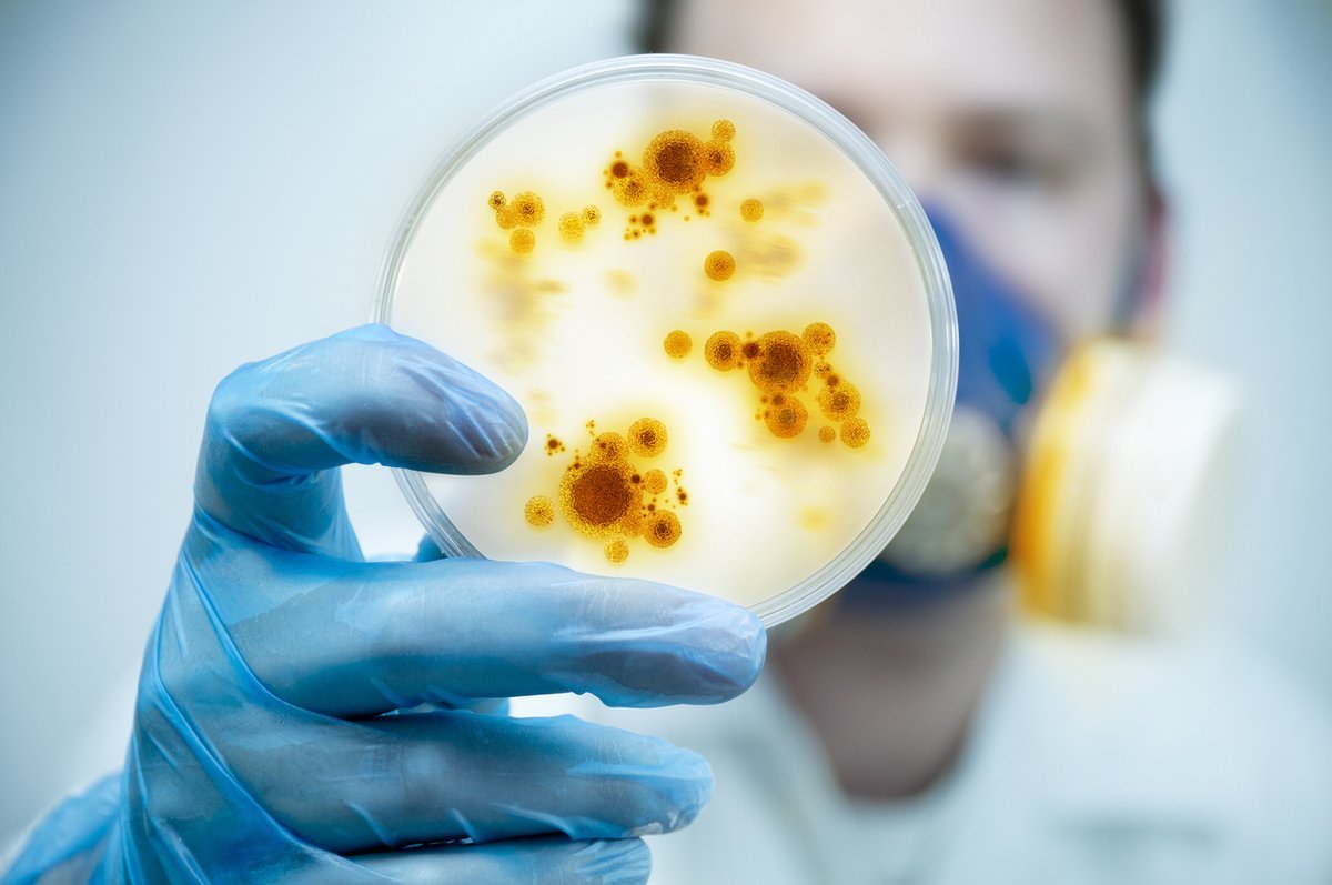 Enfeksiyonlara karşı 10 doğal antibiyotik