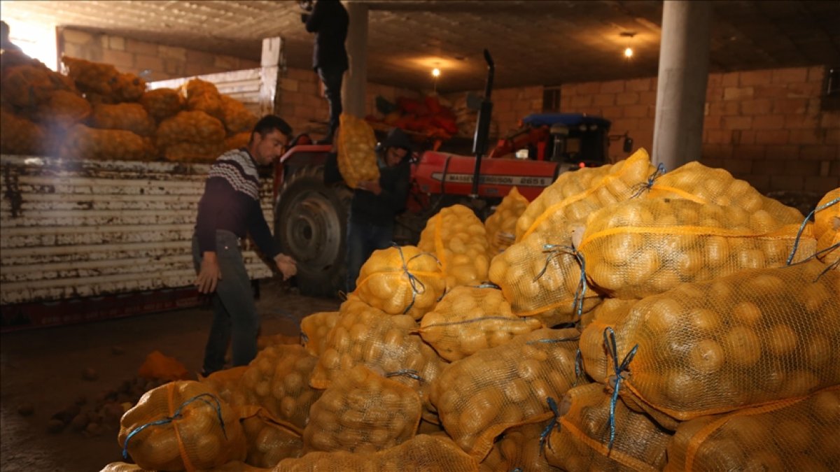 Çiftçiden alınan patates ve soğanlar dağıtılmaya başlandı