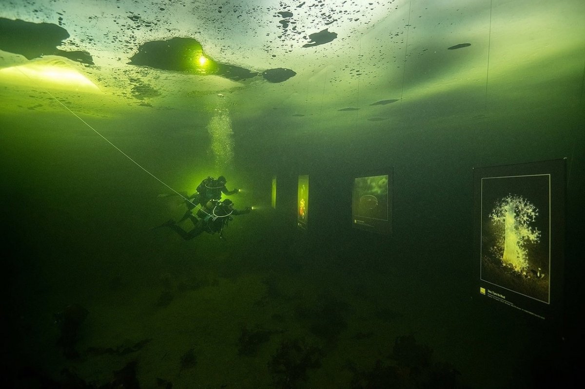 Photo exhibition under the freezing sea in Russia #4