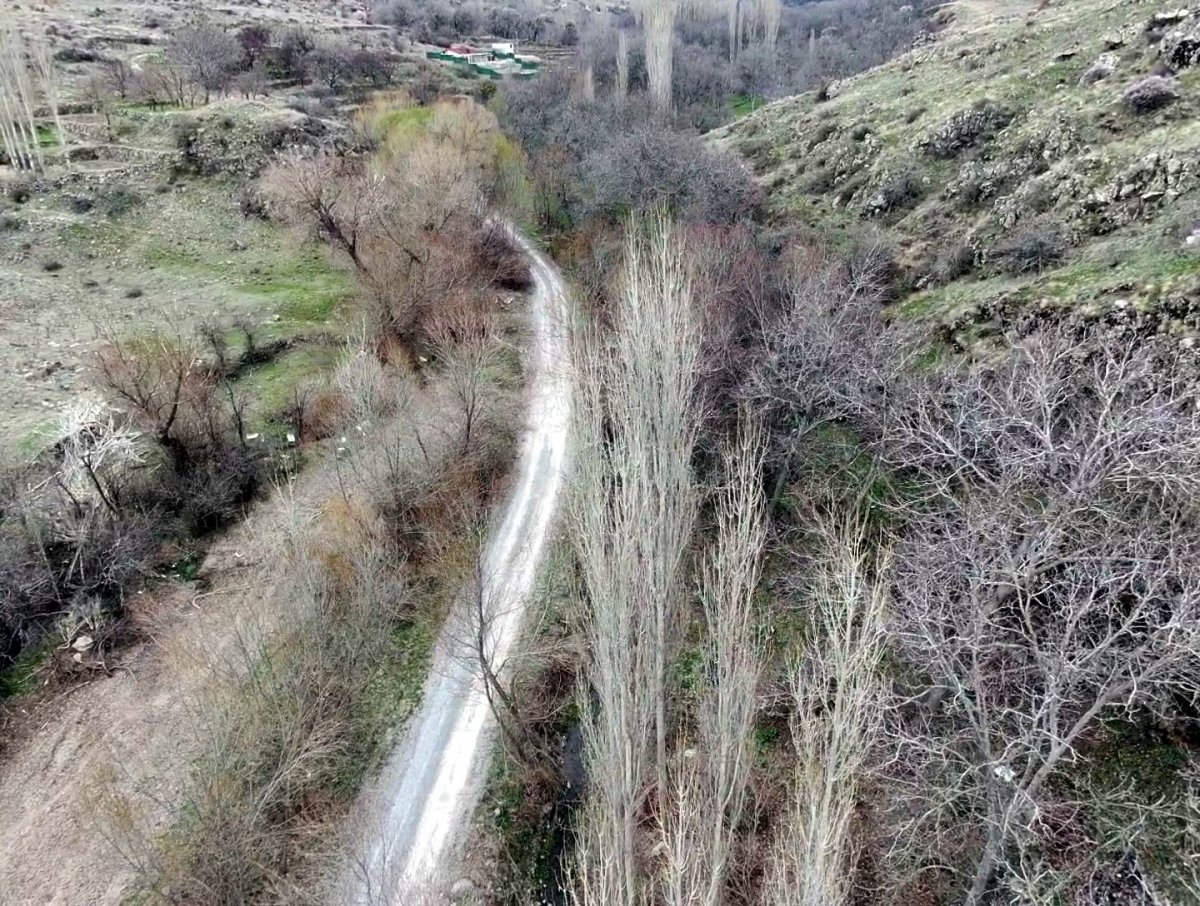 Kayseri'deki Koramaz Vadisi, yeşile büründü