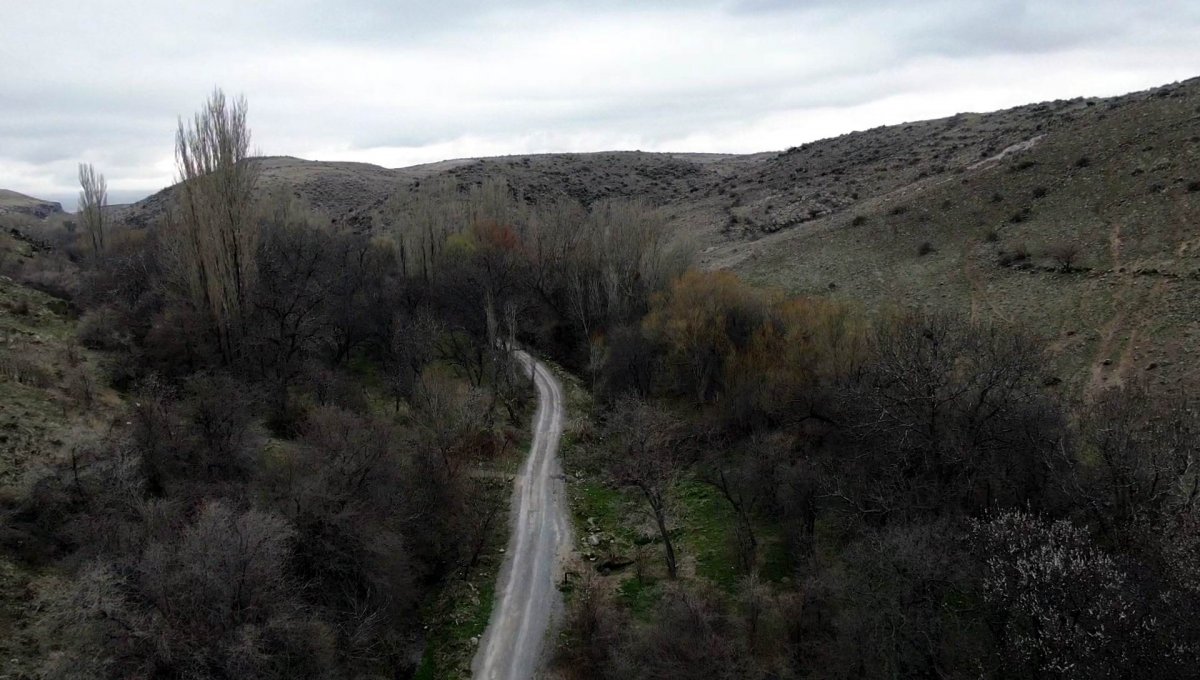 Kayseri'deki Koramaz Vadisi, yeşile büründü