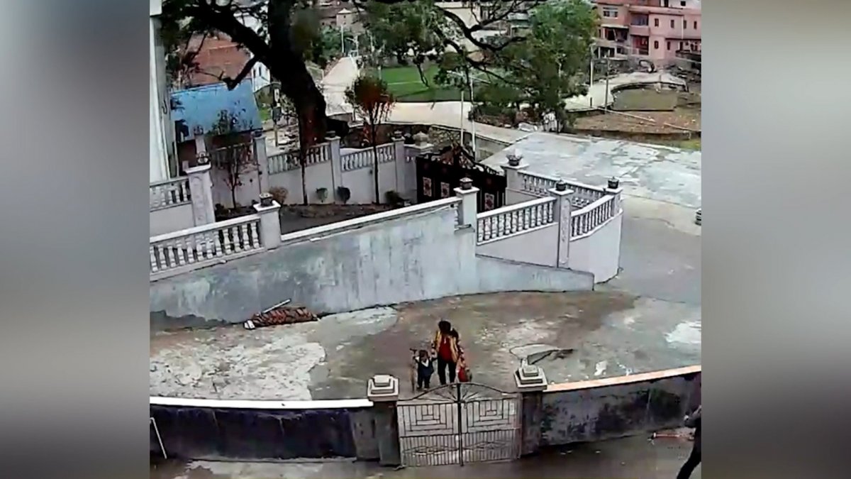 In China, grandmother and granddaughter survived the collapsed tree by chance #1