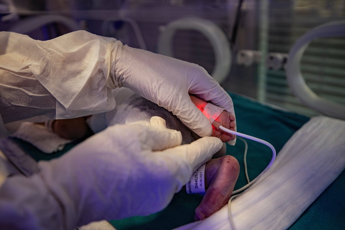 Hasta bebekler, sağlıkçıların şefkatli ellerinde ilgi görüyor
