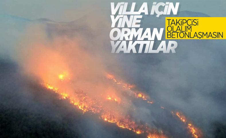 Muğla'da 29 hektarın zarar gördüğü orman yangınında sabotaj şüphesi