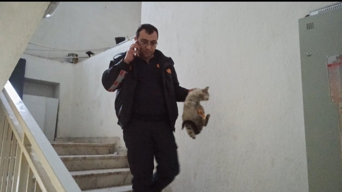 Afyonkarahisar'da hava boşluğunda mahsur kalan kedi kurtarıldı