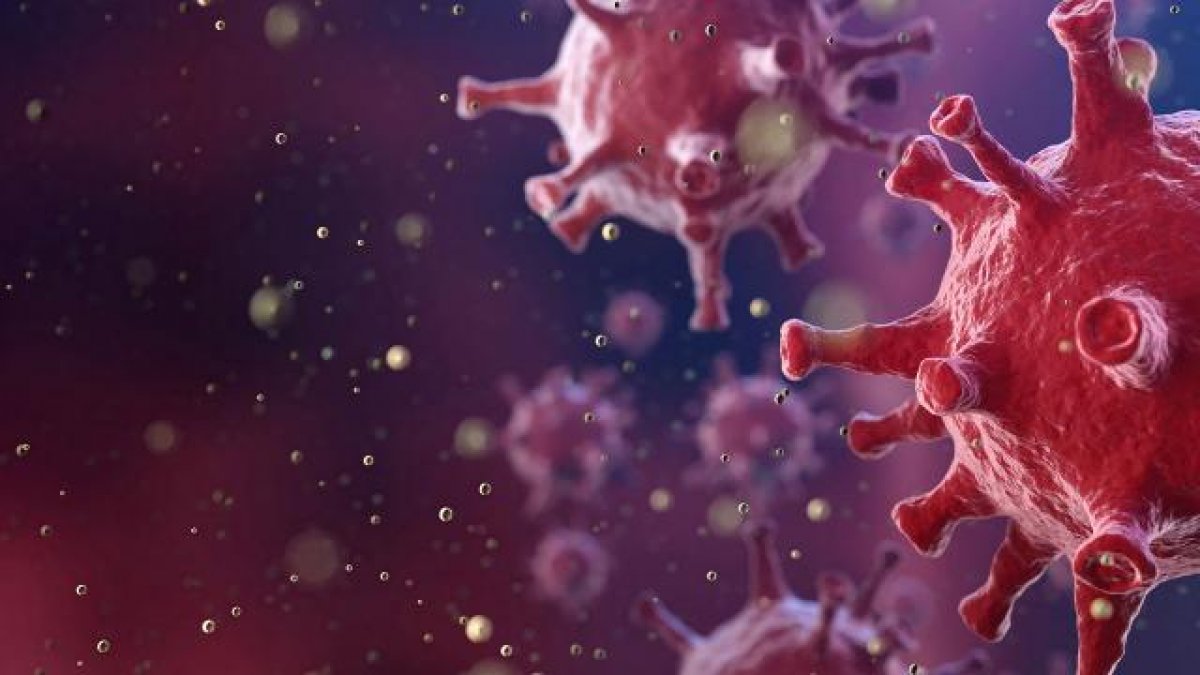 Antikor nedir, koronavirüse karşı korur mu? Antikor testi nasıl yapılır? #1
