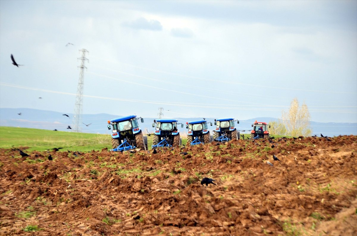 Muş Ovası'nda çiftçilerin ekim mesaisi başladı