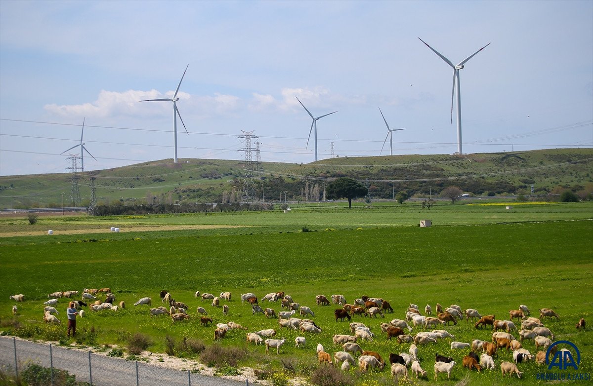 Türk bilim insanından rüzgar enerjisinde verimliliği artıran yeni yöntem