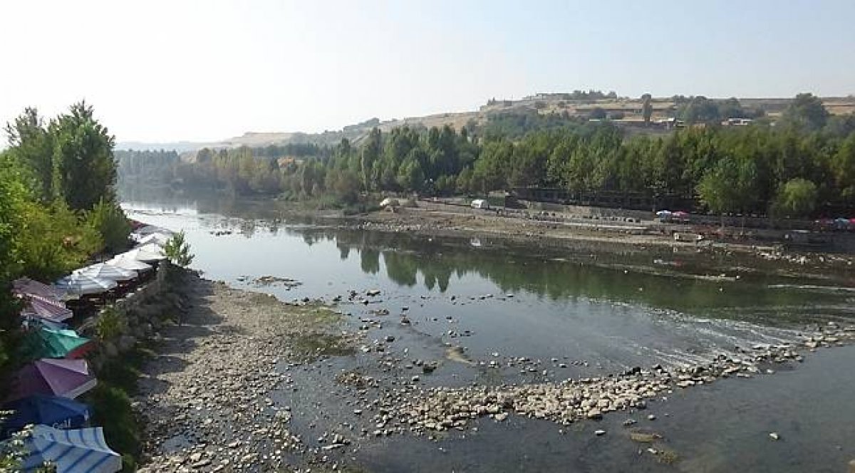 Diyarbakır Dicle Nehri'nde binlerce balık telef oldu