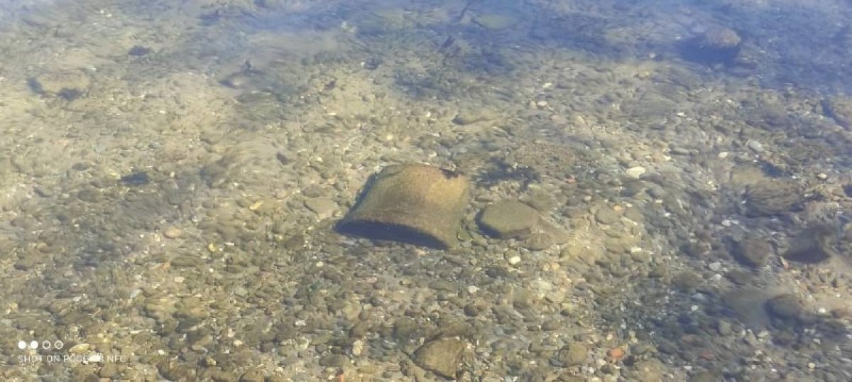 Bursa’da balıkçıların ağından tarihi eser çıktı