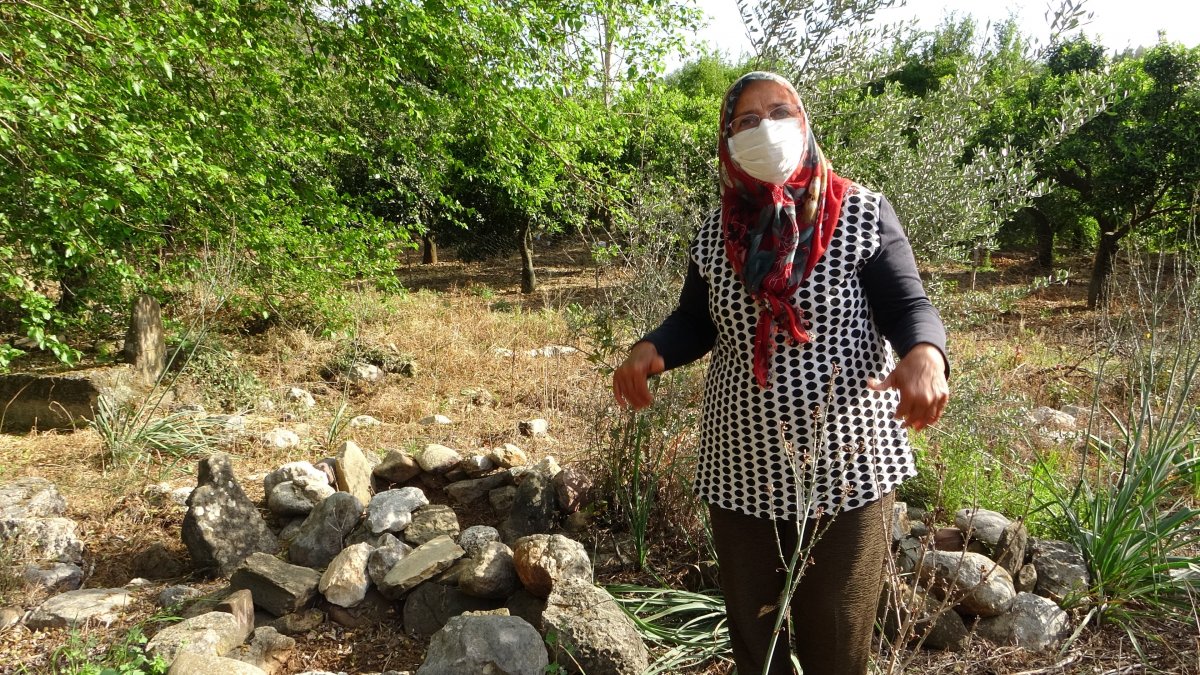 Adana'da köy mezarlığı narenciye bahçesine döndü iddiası