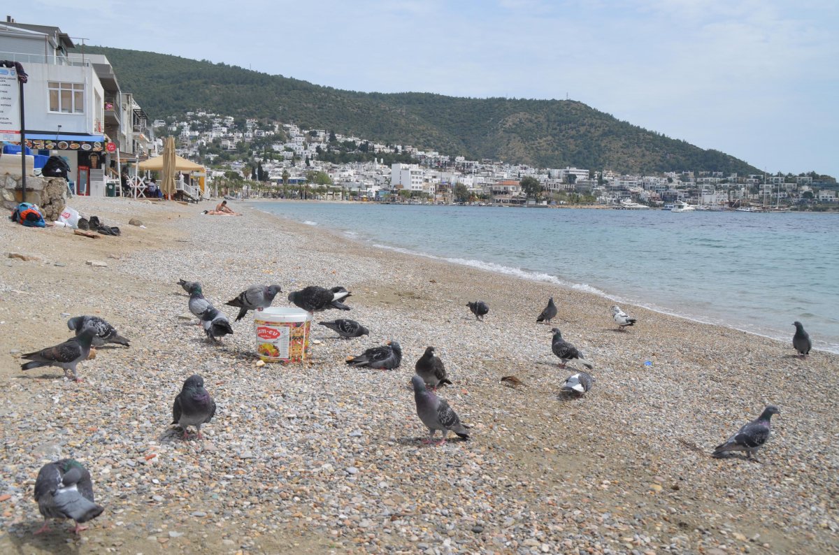 Bodrum'da boş kalan plajların keyfini turistler çıkardı