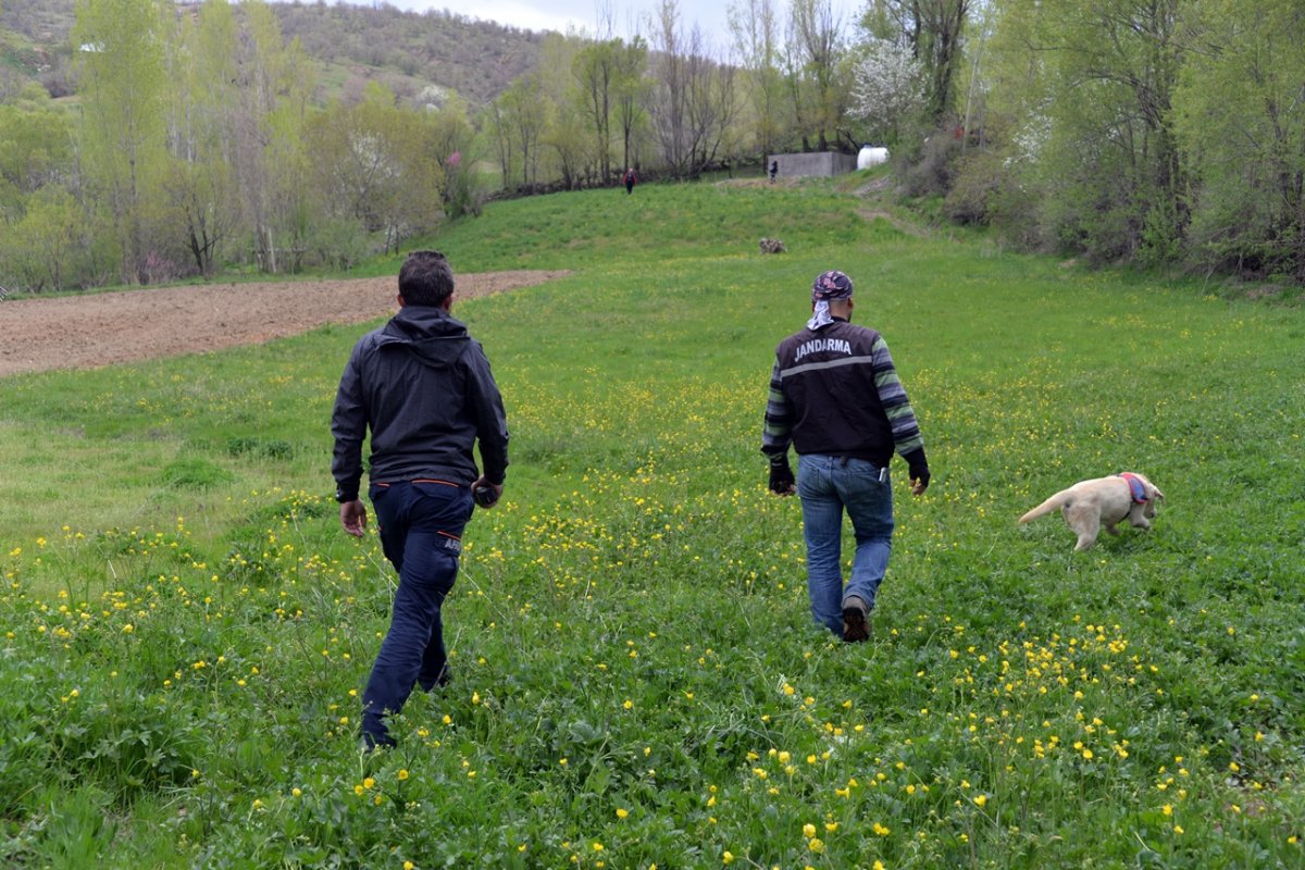 Bingöl'de kaybolan yaşlı adamı arama çalışmaları devam ediyor