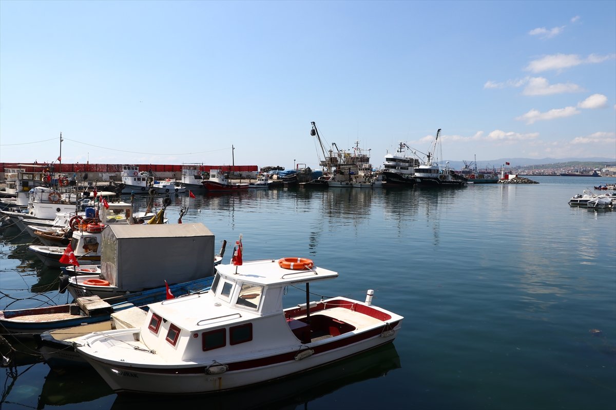 Tekirdağ'da balıkçı tezgahlarının yeni gözdesi menekşe balığı