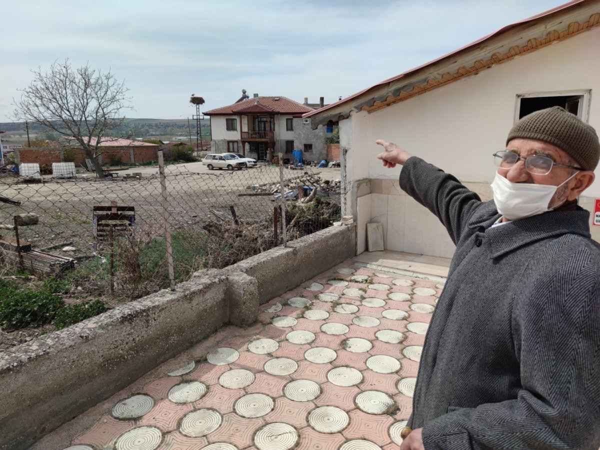 Amasya'da mahalleliye leylekler rehberlik ediyor