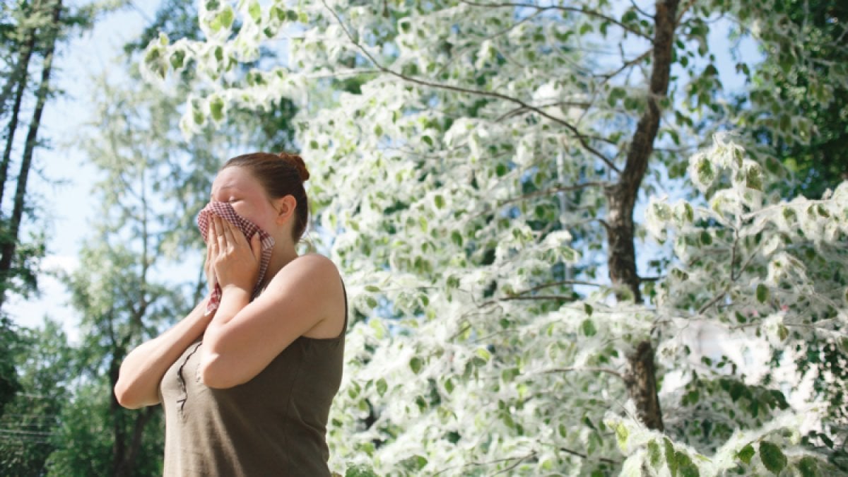Covid-19'la karıştırılıyor: Polen alerjisi belirtileri nelerdir?