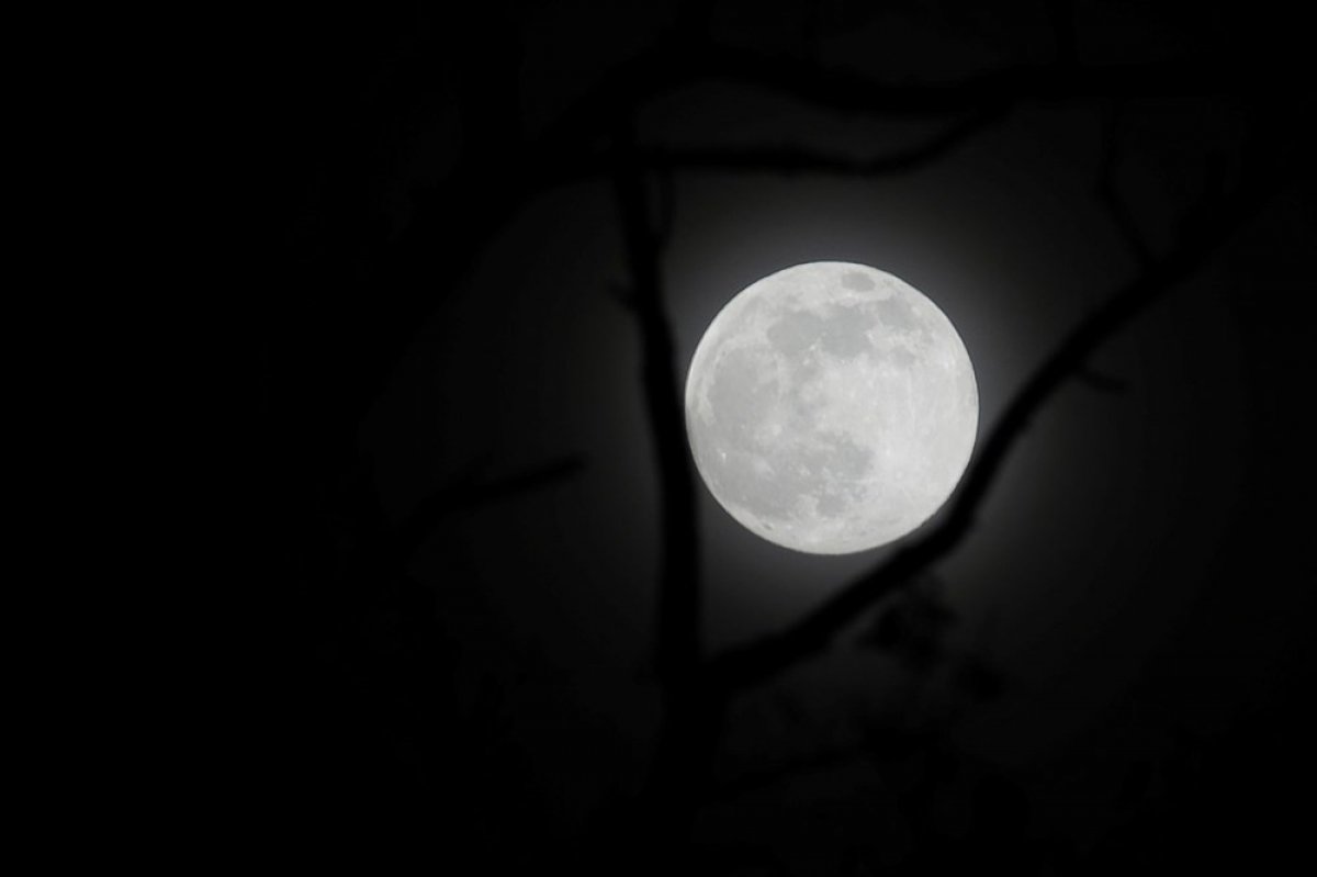 Second Super Moon of 2021 observed last night #6