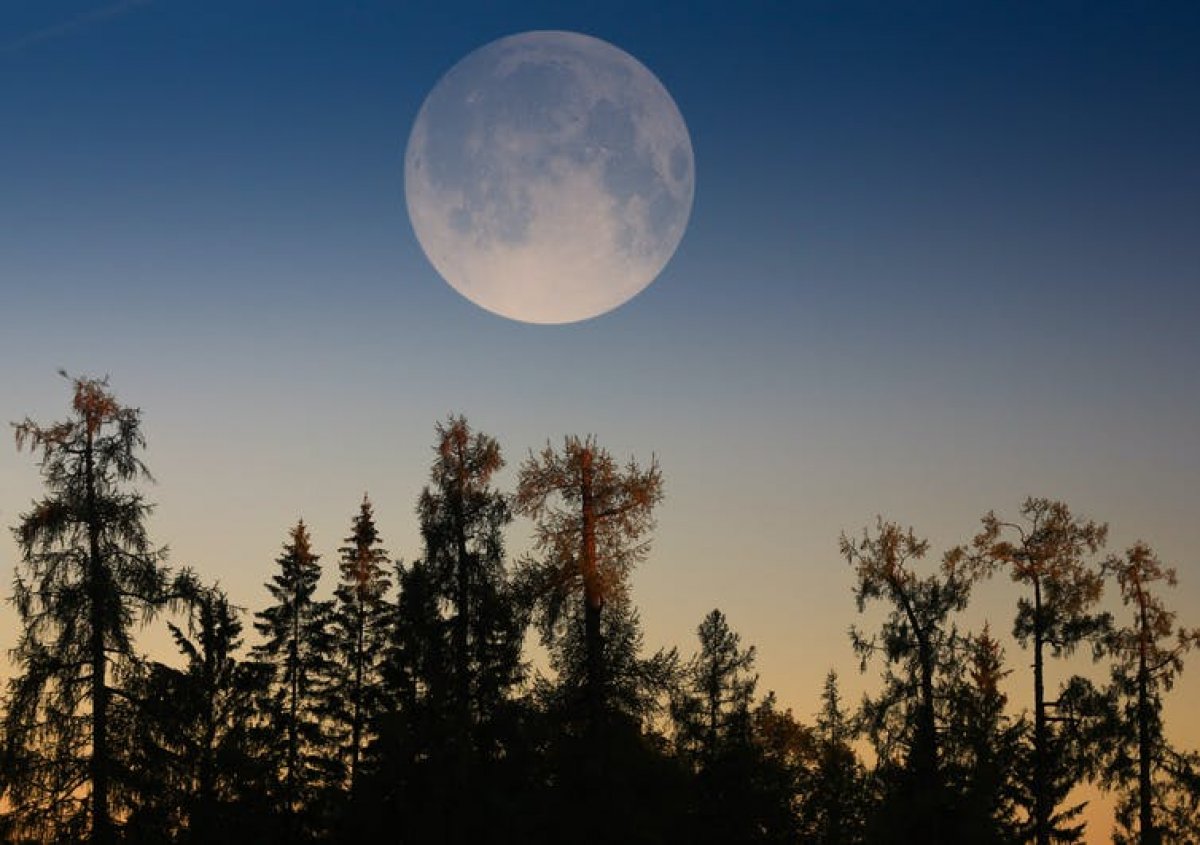 Second Super Moon of 2021 observed last night #11