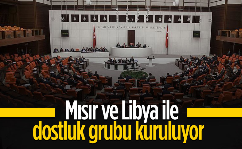 Mısır ve Libya ile dostluk grubu kurulması tezkeresi TBMM'de kabul edildi