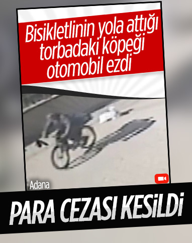 Adana'da köpeği yola atan bisikletli ve otomobiliyle ezen sürücüye para cezası