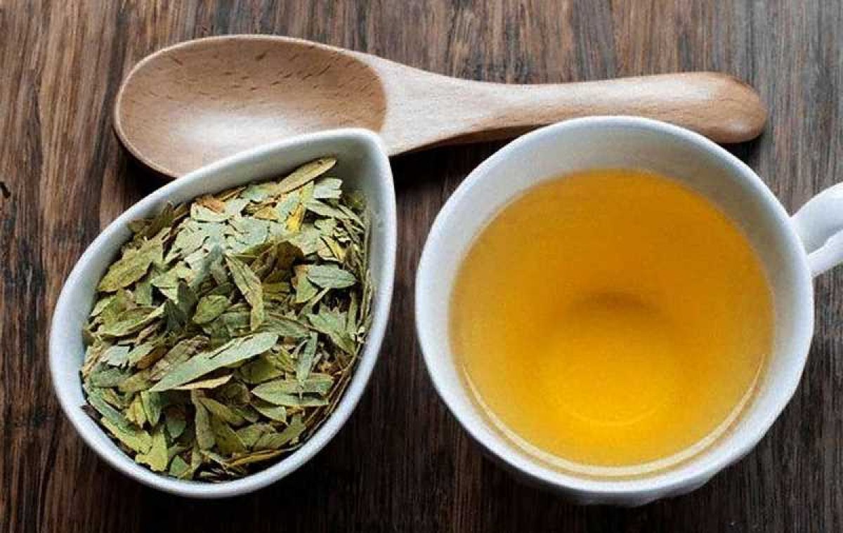 Herb that stimulates the intestines: What are the benefits of senna?  Senna tea recipe.. #2