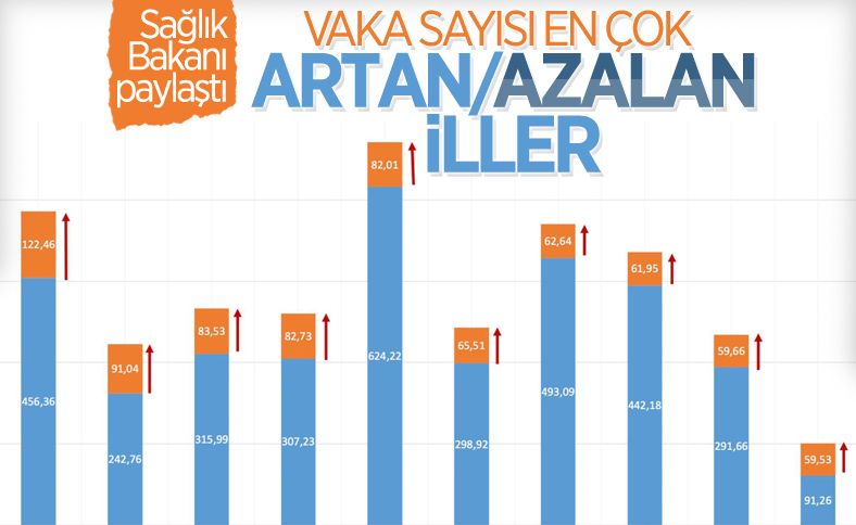 Vaka sayısı artan ve azalan iller açıklandı