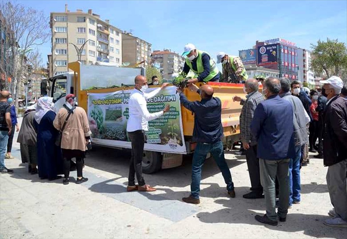 Kırşehir'de 120 bin sebze fidesi dağıtıldı