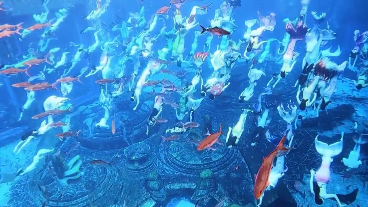 Record-breaking mermaid show in China