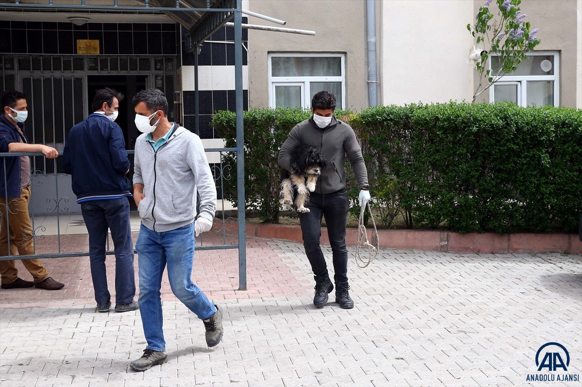 Kayseri'de sahibinin öldüğünü sürekli havlayarak haber verdi