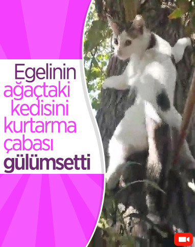 Denizli'de ağaçtaki kediyi Ege şivesiyle kurtarma çabası
