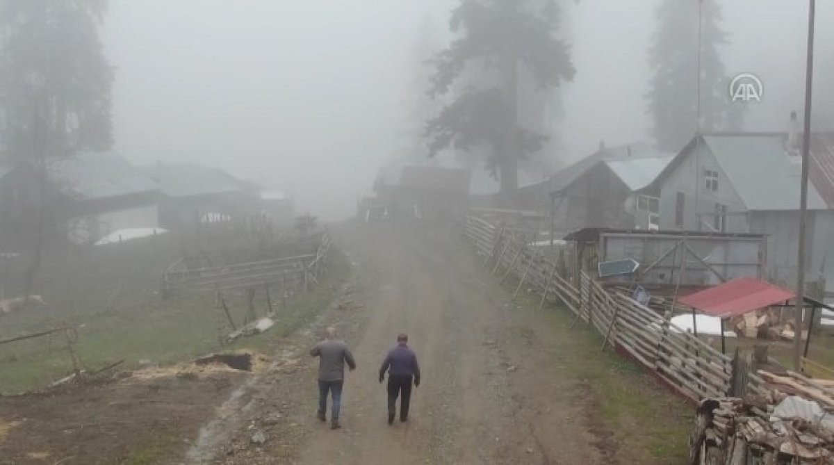 Düzce'de salgın sürecinde yerleştikleri yaylalarda izole hayatın keyfini çıkarıyorlar