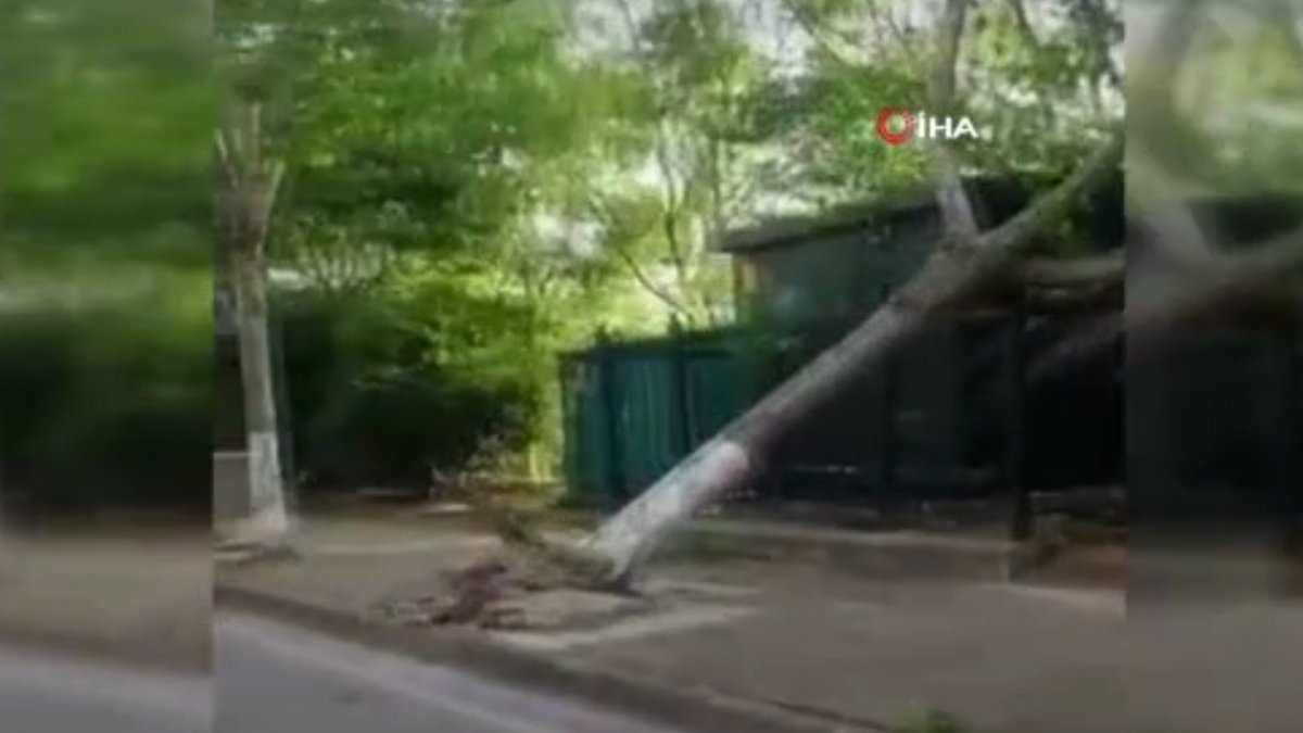 Çin'de fırtına can aldı: 11 ölü, 102 yaralı