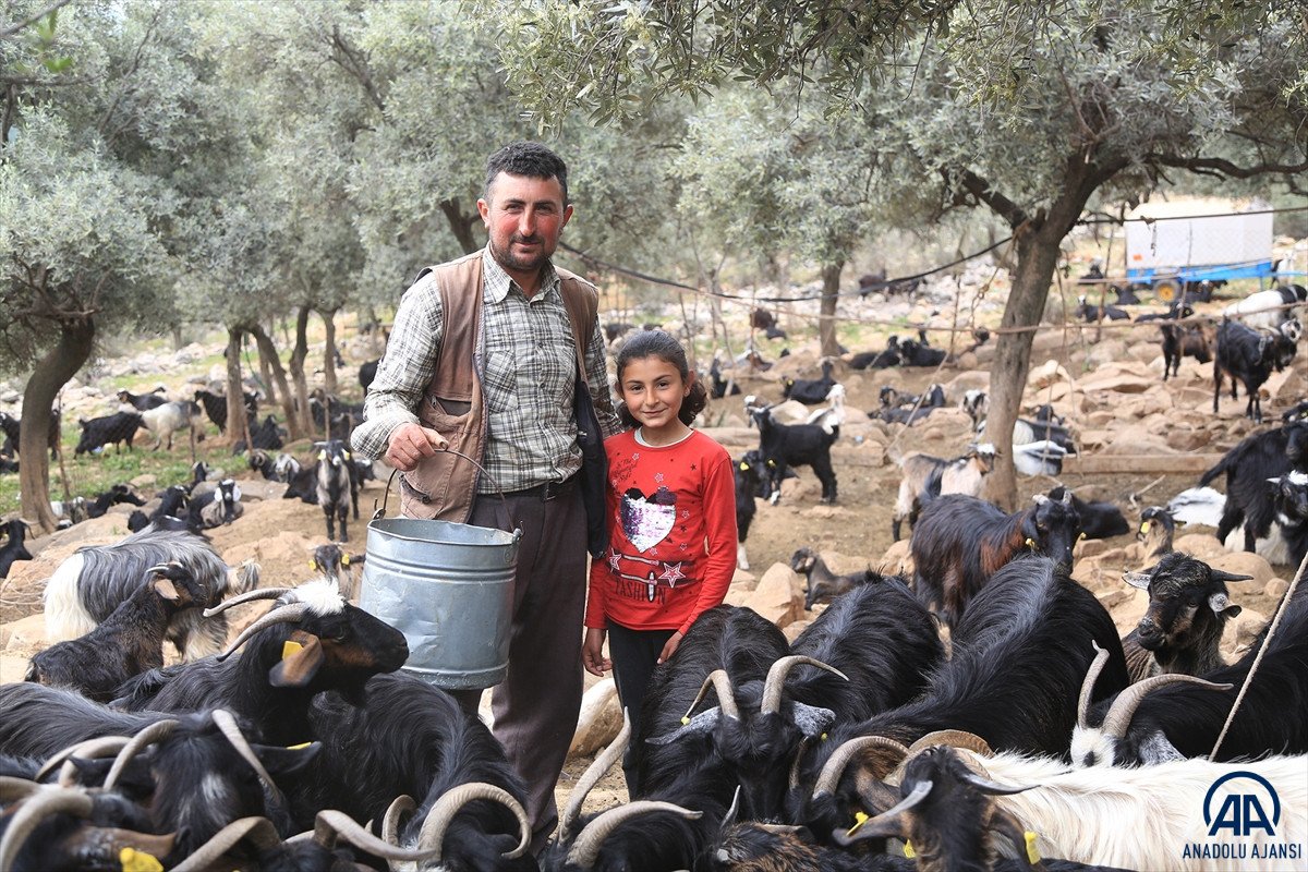 Muğla'da Yörük kızı Cennet'in okuma azmi