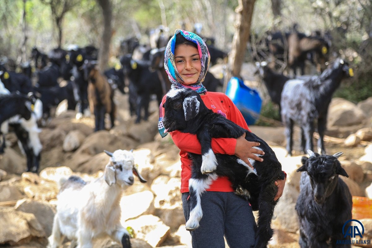 Muğla'da Yörük kızı Cennet'in okuma azmi