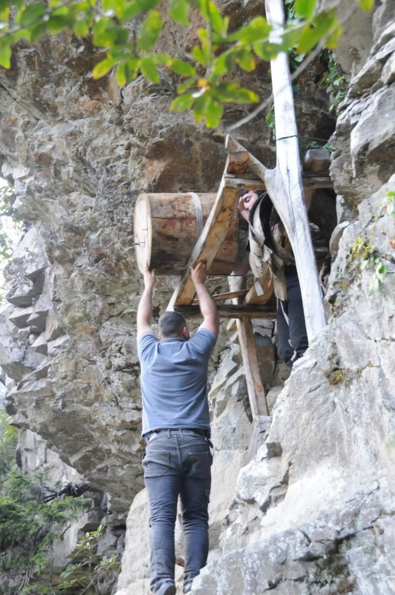 Artvin’de kovanları parçalayan ayılar, arıcının yatağında yattı