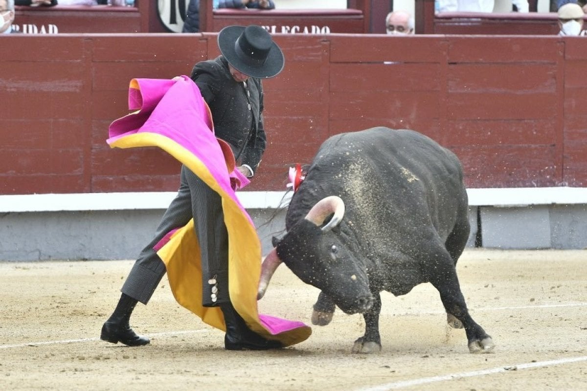 First bullfight held in Spain since the beginning of the epidemic #4