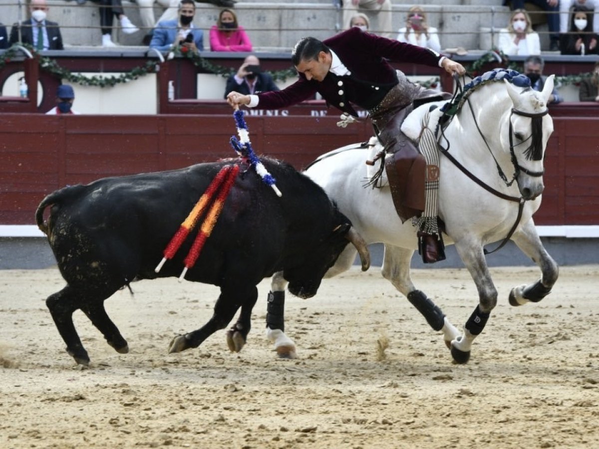 First bullfight held in Spain since the beginning of the epidemic #3