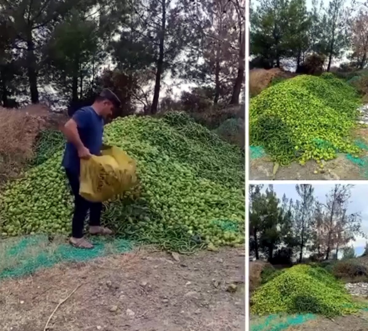 Semt pazarları açılmayınca, gıda ürünleri bozulma ile karşı karşıya