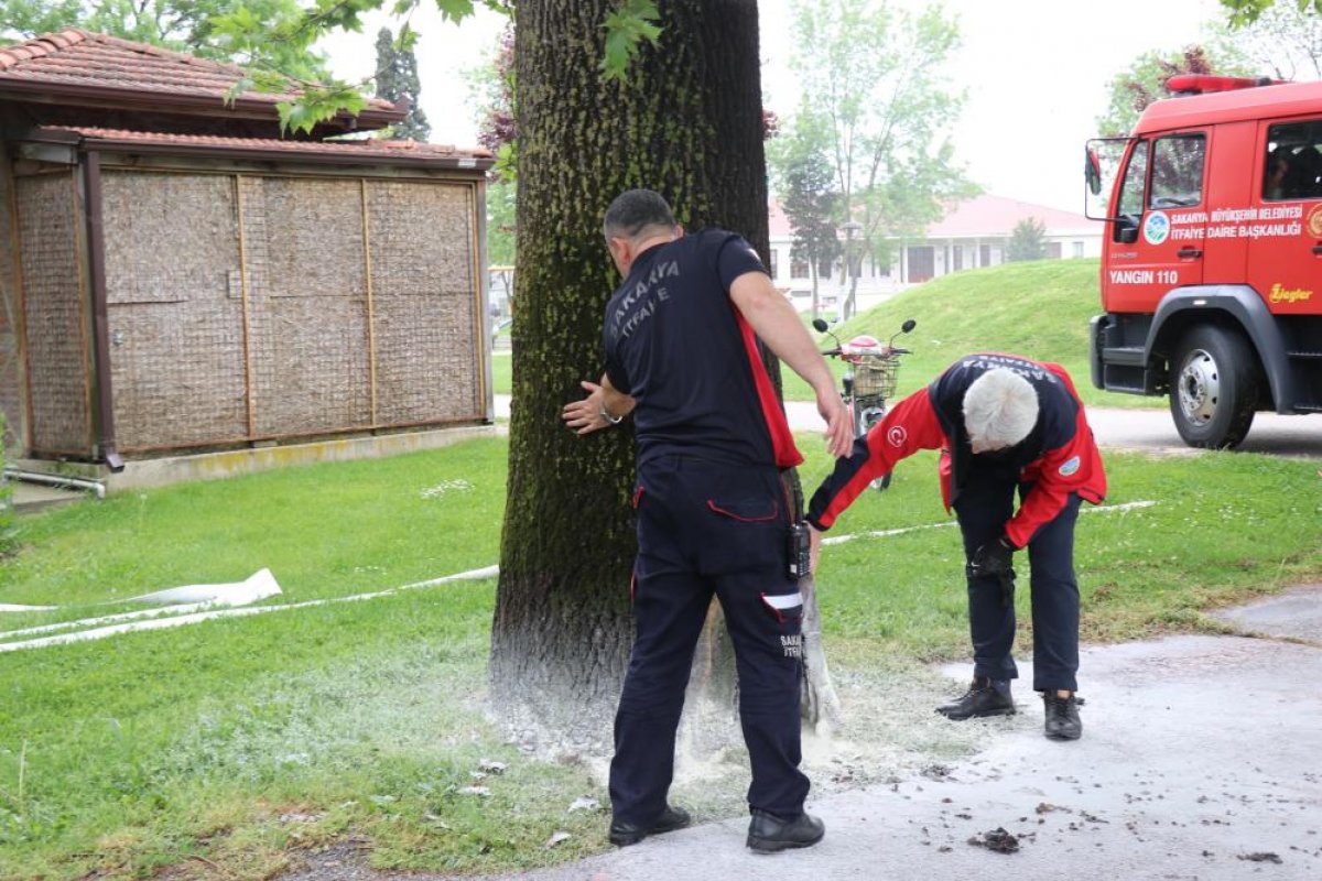 Sakarya'da parkta çıkan yangın büyümeden söndürüldü