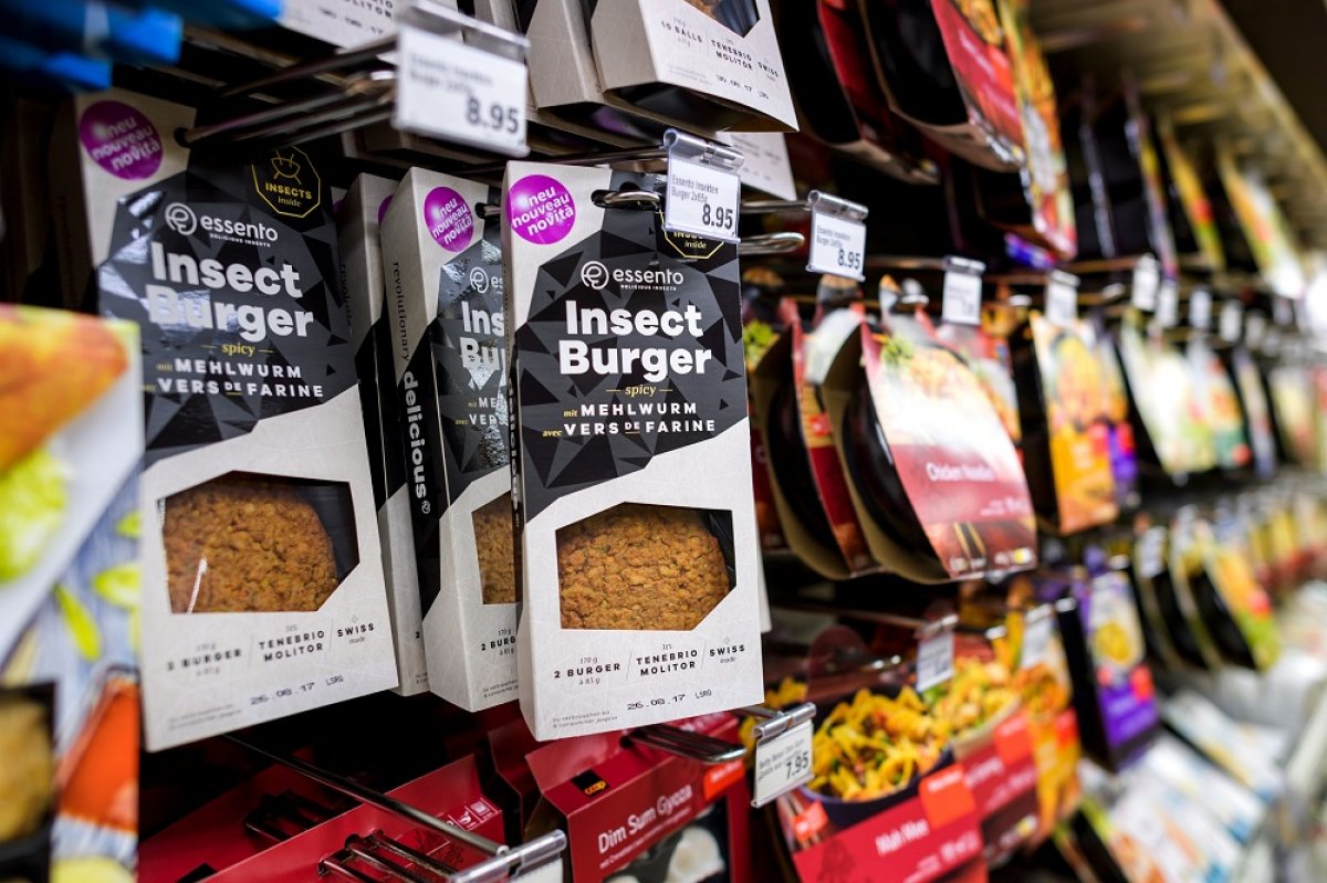 European Union approves insect larva as food #1